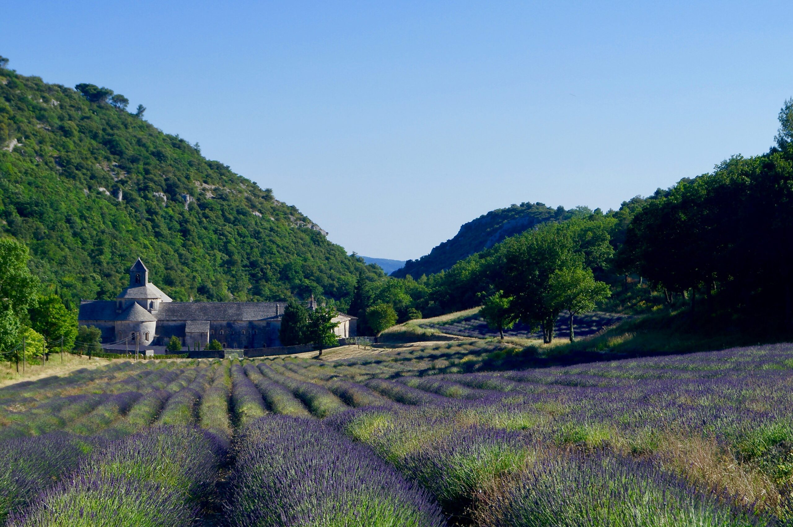 France Provence