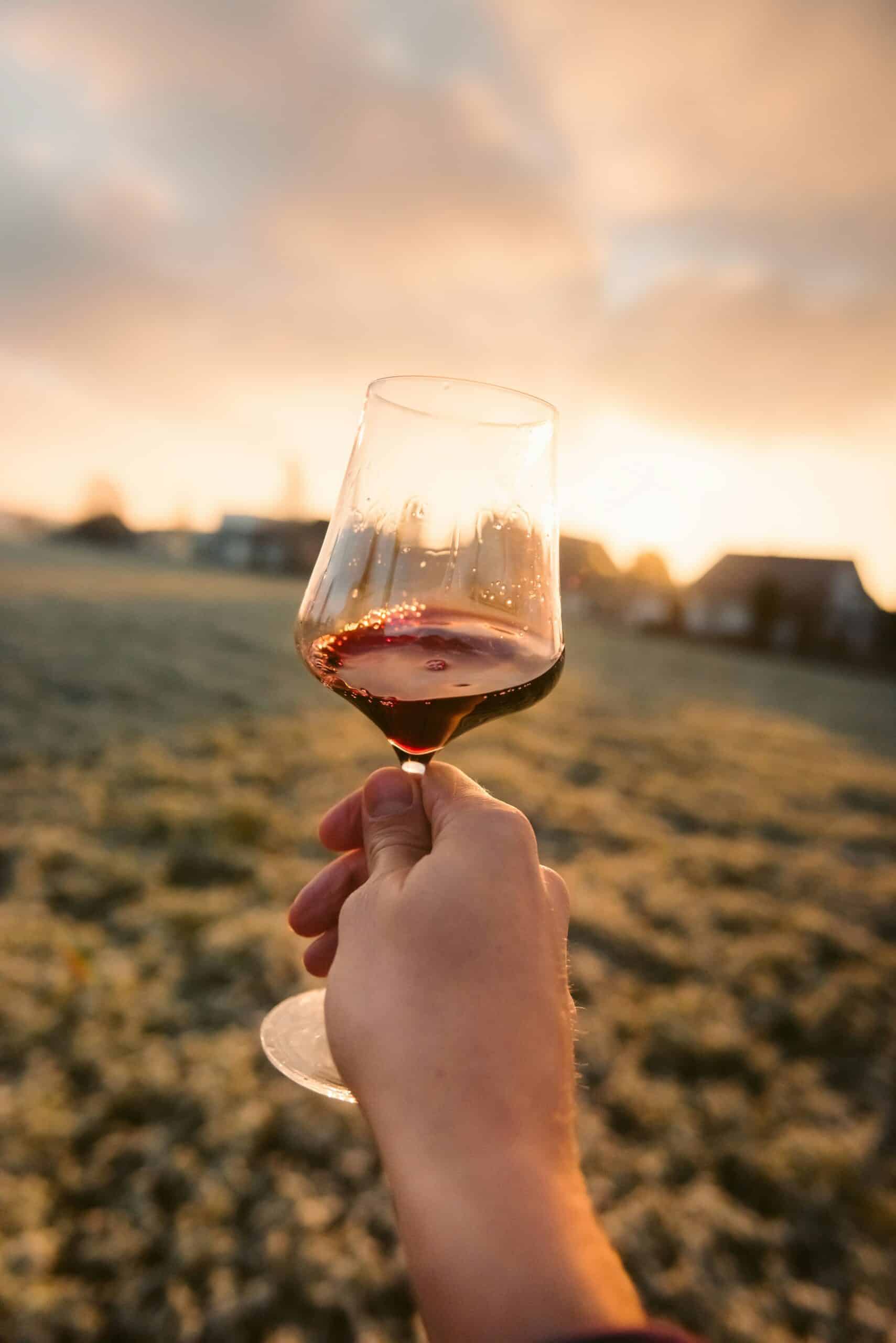 Wine Portugal